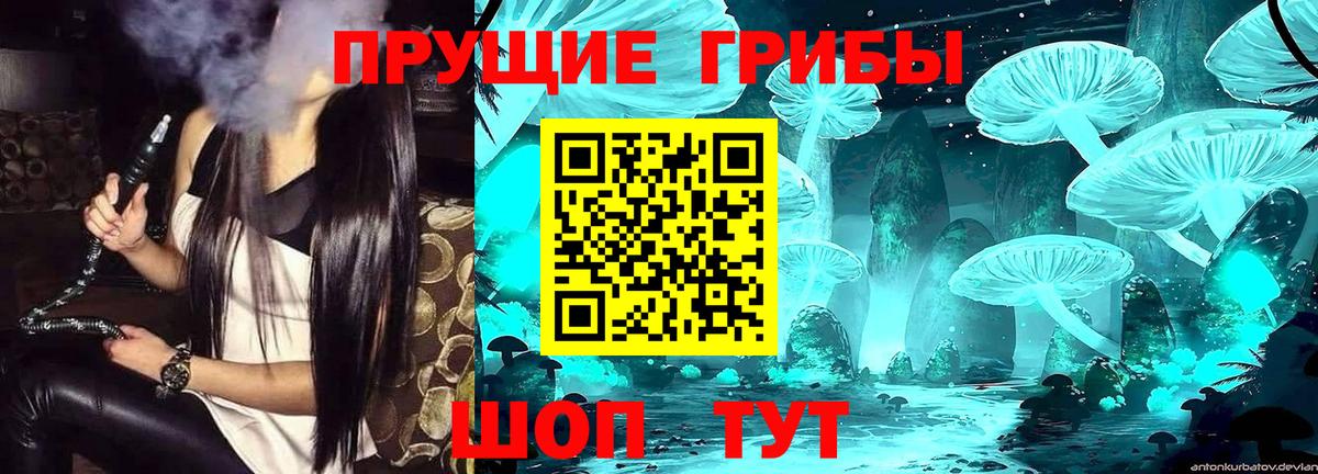 Псилоцибиновые грибы Cubensis  Псилоцибиновые грибы ЛСД  Вход с VPN  Всеволожск 